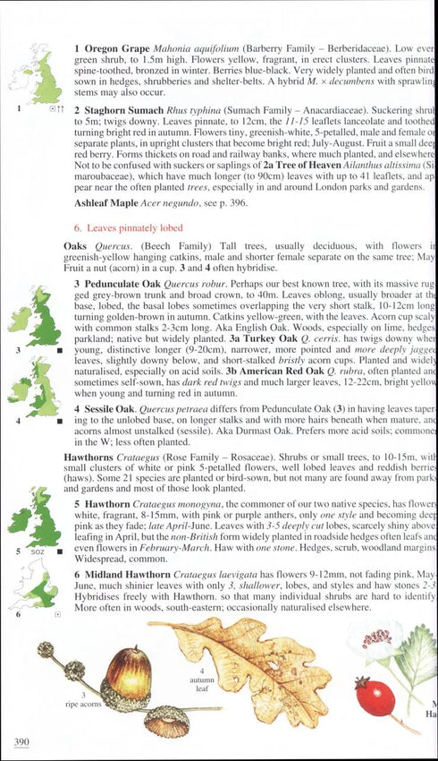 Wild Flowers of Britain and Ireland, 2nd Ed. - Blamey 2013